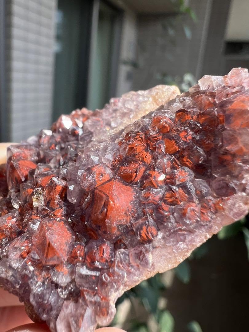 希少　ファントム水晶 100%天然赤水晶　水晶クラスター　レッドファントム リチウム レッドファントム 水晶 クラスター 原石 | 天然石専門